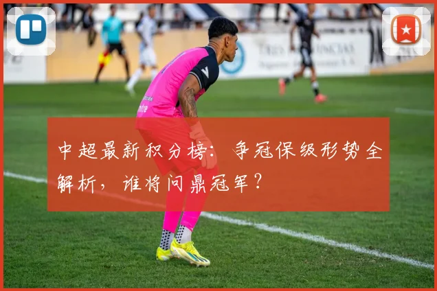 中超最新积分榜:争冠保级形势全解析,谁将问鼎冠军?